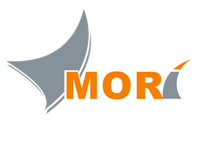 morivn.com 